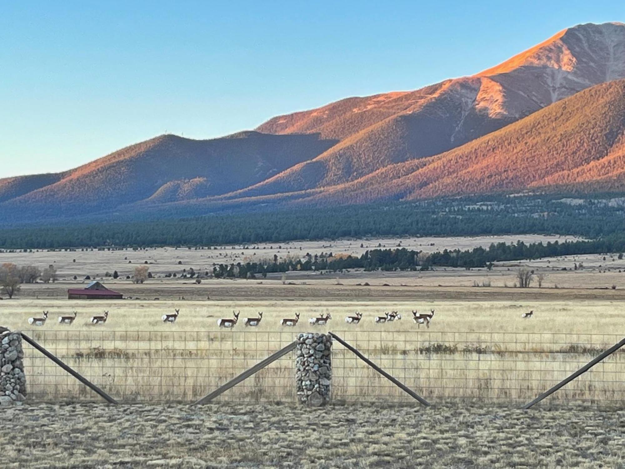 Buena Vista Mountain Retreat - Ultimate Privacy With Spa & Unbeatable Views Exteriér fotografie